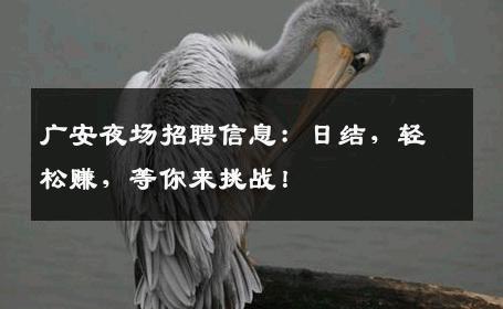 广安夜场招聘信息：日结，轻松赚，等你来挑战！