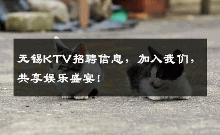 无锡KTV招聘信息，加入我们，共享娱乐盛宴！