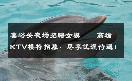 嘉峪关夜场招聘女模——高端KTV模特招募，尽享优渥待遇！