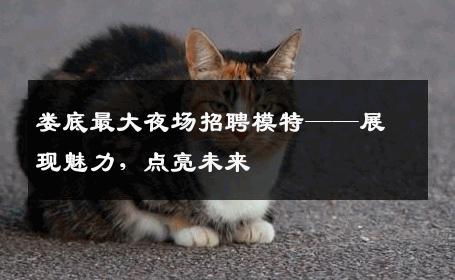 娄底最大夜场招聘模特——展现魅力，点亮未来