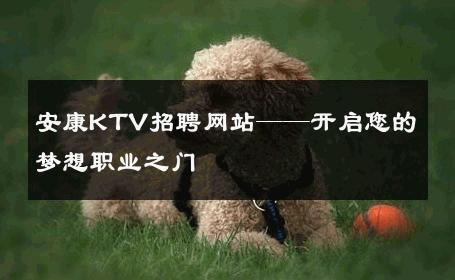 安康KTV招聘网站——开启您的梦想职业之门