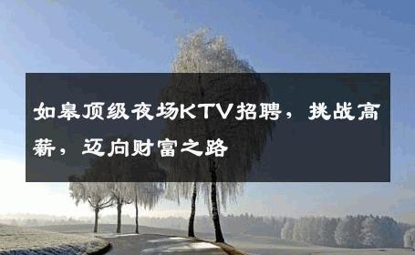 如皋顶级夜场KTV招聘，挑战高薪，迈向财富之路