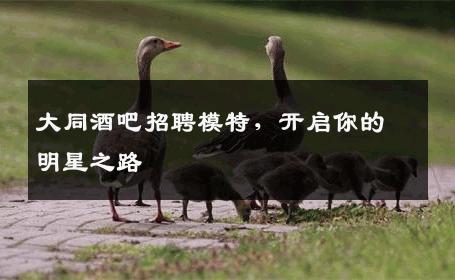 大同酒吧招聘模特，开启你的明星之路