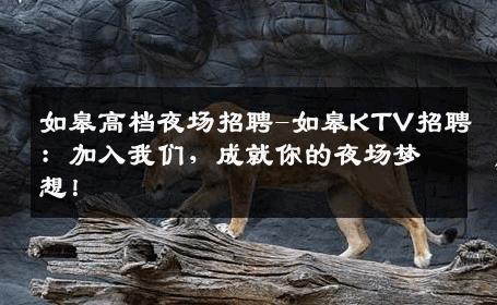 如皋高档夜场招聘-如皋KTV招聘：加入我们，成就你的夜场梦想！