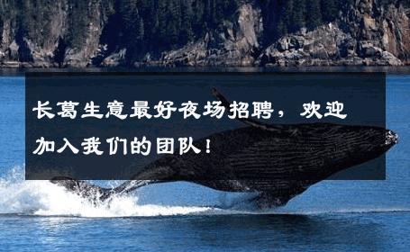 长葛生意最好夜场招聘，欢迎加入我们的团队！