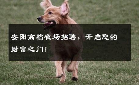 安阳高档夜场招聘，开启您的财富之门！
