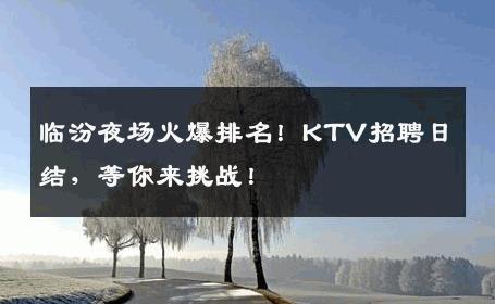 临汾夜场火爆排名！KTV招聘日结，等你来挑战！