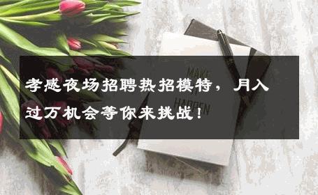 孝感夜场招聘热招模特，月入过万机会等你来挑战！