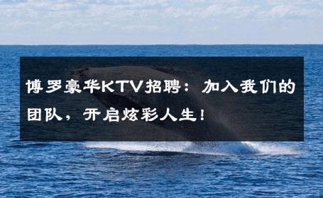 博罗豪华KTV招聘：加入我们的团队，开启炫彩人生！