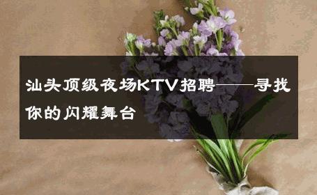汕头顶级夜场KTV招聘——寻找你的闪耀舞台