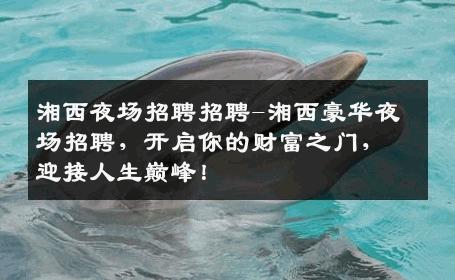 湘西夜场招聘招聘-湘西豪华夜场招聘，开启你的财富之门，迎接人生巅峰！