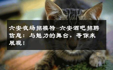 六安夜场招模特-六安酒吧招聘信息：与魅力的舞台，等你来展现！