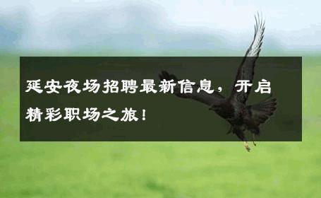 延安夜场招聘最新信息，开启精彩职场之旅！