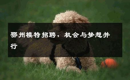 鄂州模特招聘，机会与梦想并行
