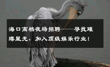 海口高档夜场招聘——寻找璀璨星光，加入顶级娱乐行业！