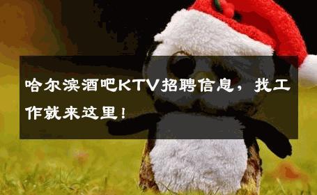 哈尔滨酒吧KTV招聘信息，找工作就来这里！