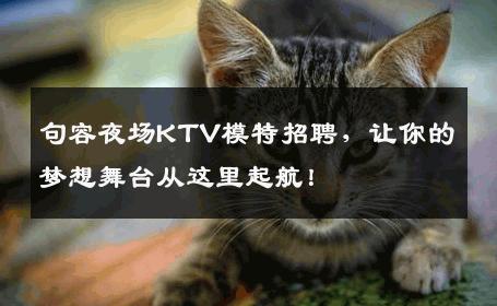 句容夜场KTV模特招聘，让你的梦想舞台从这里起航！