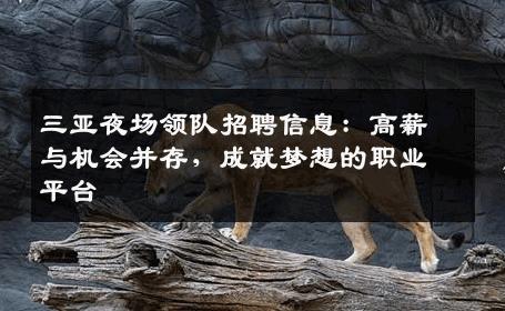 三亚夜场领队招聘信息：高薪与机会并存，成就梦想的职业平台