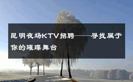 昆明夜场KTV招聘——寻找属于你的璀璨舞台