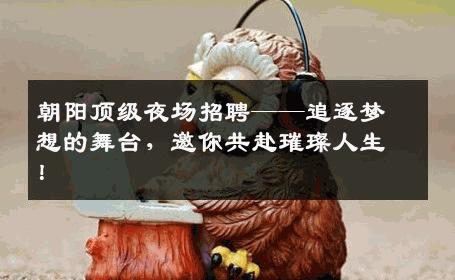 朝阳顶级夜场招聘——追逐梦想的舞台，邀你共赴璀璨人生！