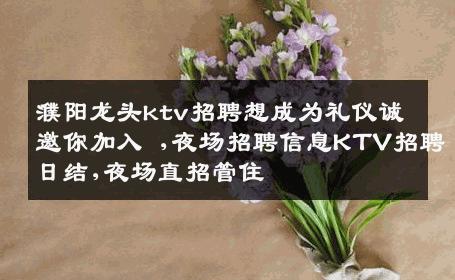 濮阳龙头ktv招聘想成为礼仪诚邀你加入 ,夜场招聘信息KTV招聘日结,夜场直招管住