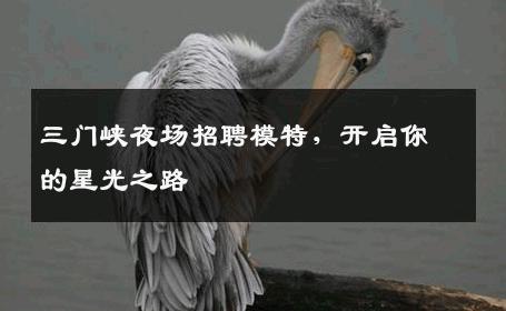三门峡夜场招聘模特，开启你的星光之路