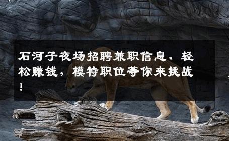 石河子夜场招聘兼职信息，轻松赚钱，模特职位等你来挑战！