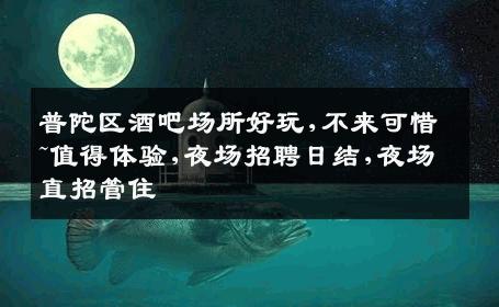 普陀区酒吧场所好玩,不来可惜~值得体验,夜场招聘日结,夜场直招管住