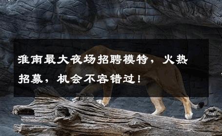 淮南最大夜场招聘模特，火热招募，机会不容错过！
