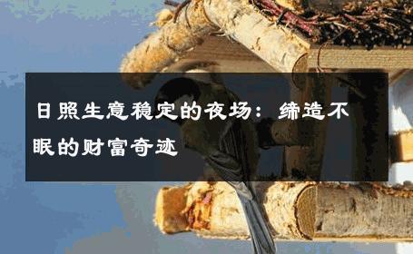 日照生意稳定的夜场：缔造不眠的财富奇迹