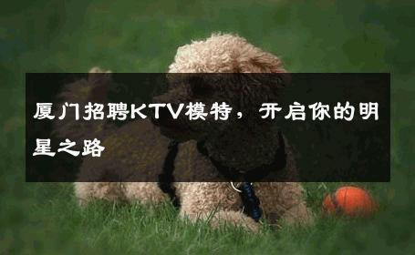 厦门招聘KTV模特，开启你的明星之路