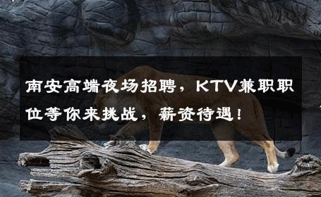 南安高端夜场招聘，KTV兼职职位等你来挑战，薪资待遇！