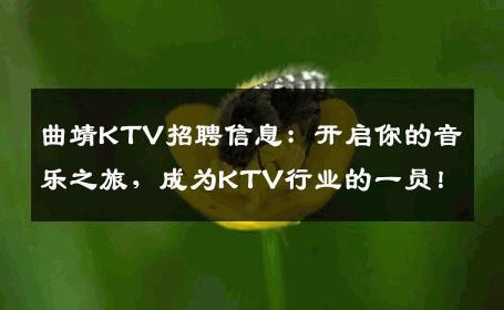 曲靖KTV招聘信息：开启你的音乐之旅，成为KTV行业的一员！