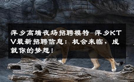 萍乡高端夜场招聘模特-萍乡KTV最新招聘信息：机会来临，成就你的梦想！