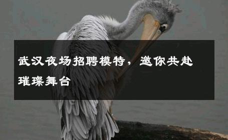 武汉夜场招聘模特，邀你共赴璀璨舞台