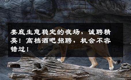 娄底生意稳定的夜场，诚聘精英！高档酒吧招聘，机会不容错过！