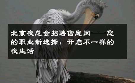 北京夜总会招聘信息网——您的职业新选择，开启不一样的夜生活
