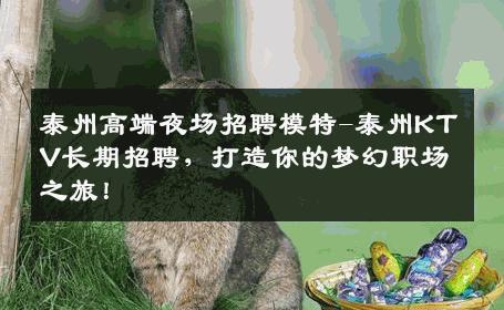 泰州高端夜场招聘模特-泰州KTV长期招聘，打造你的梦幻职场之旅！