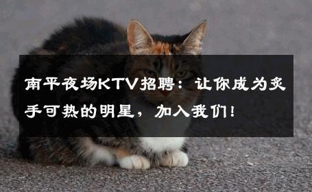 南平夜场KTV招聘：让你成为炙手可热的明星，加入我们！