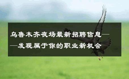 乌鲁木齐夜场最新招聘信息——发现属于你的职业新机会