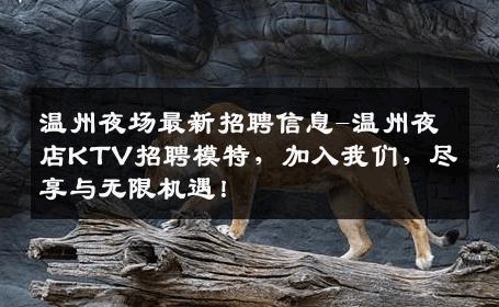 温州夜场最新招聘信息-温州夜店KTV招聘模特，加入我们，尽享与无限机遇！
