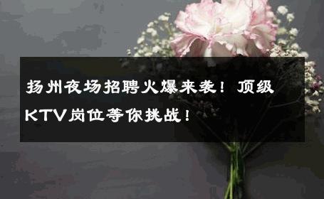 扬州夜场招聘火爆来袭！顶级KTV岗位等你挑战！
