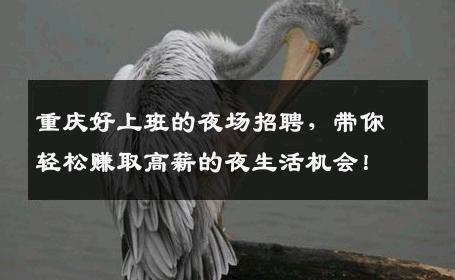 重庆好上班的夜场招聘，带你轻松赚取高薪的夜生活机会！
