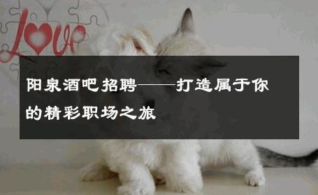 阳泉酒吧招聘——打造属于你的精彩职场之旅