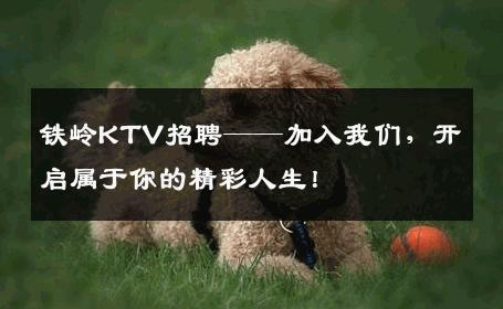 铁岭KTV招聘——加入我们，开启属于你的精彩人生！