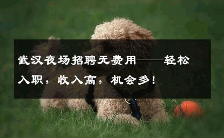 武汉夜场招聘无费用——轻松入职，收入高，机会多！