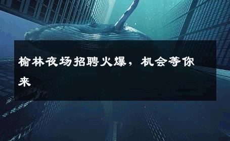 榆林夜场招聘火爆，机会等你来