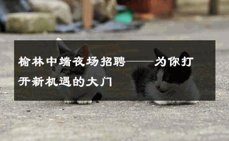 榆林中端夜场招聘——为你打开新机遇的大门