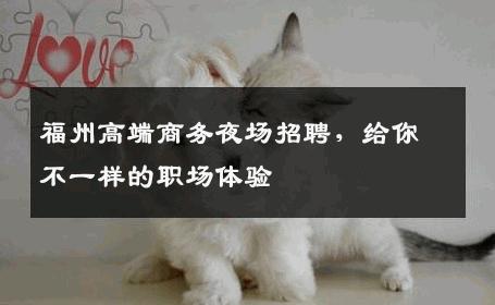 福州高端商务夜场招聘，给你不一样的职场体验
