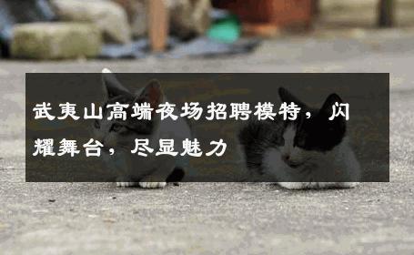武夷山高端夜场招聘模特，闪耀舞台，尽显魅力